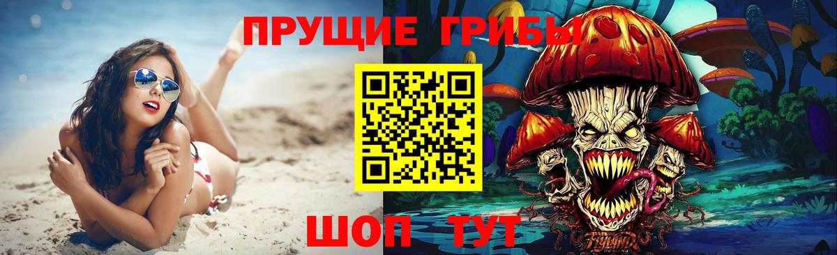 Анжеро-Судженск  Псилоцибиновые грибы MAGIC MUSHROOMS  купить  цена  Псилоцибиновые грибы прущие грибы  Вход с VPN 